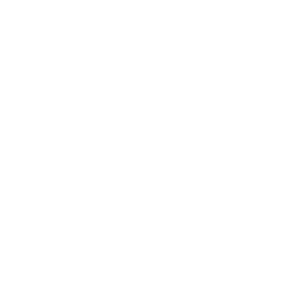 Slomostudio